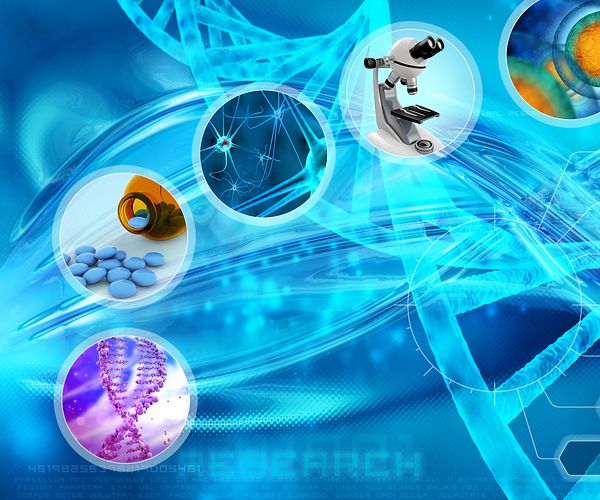 tick-image-4-600x500